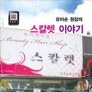 스칼렛미용실 이미지