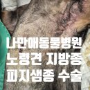 나만 애 동물병원 이미지