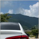 포니카센타 이미지