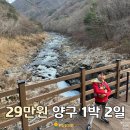 시래원 | 양구 시래기맛집 추천 시래원 소불고기 시래기정식