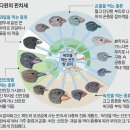 찰스 다윈의 핀치새, 뷔리당의 당나귀, 슈뢰딩거의 고양이 이미지