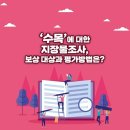 지장물조사 수목의 경우 보상 대상과 평가 방법은 이미지