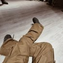 강아지나라 이미지