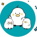 휴먼메디텍 | 월간 노유캐(우수 프로그램, 우수 국원)