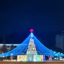 창원광장 앞 중앙대로 이미지