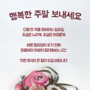 아득히 먼곳, 목포행 완행열차 이미지