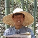 새순영농조합법인 네이버블로그