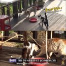 마더농장 이미지