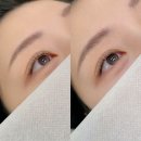 샛별프라자 | 잠실 방이동속눈썹 미세모연장 샛별래쉬
