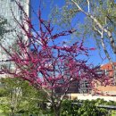 큐프라임인하치과의원 | 큐프라임인하치과 전체 임플란트에 대해?