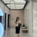 시에 SIE | 린다 벨티드 코튼 재킷 후기(세일 ing~)