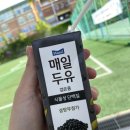 선아테라피