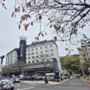 호텔 레인보우 이미지