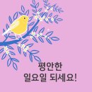 메드칼약국 이미지