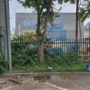 팔달중학교 이미지