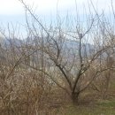 강변살자 이미지