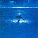 인어공주 - 수성구 | 인어공주