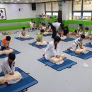 대룡태권도본관 이미지