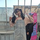 에이블 행정사 사무소 이미지