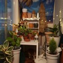 내가 우리집 가드너 이미지