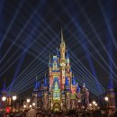 오토매직 버스온 | 올랜도 디즈니월드 매직킹덤 어트랙션 불꽃놀이 신혼여행 방문 후기