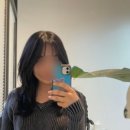 하이하이샵