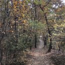 요지빌딩 이미지