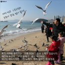 대프리카막창 연합뉴스