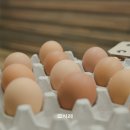 이든축산