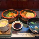 스시쇼부 | 마쓰야마 아지고요미 쇼부 현지인 맛집 지라시스시 대만족 후기