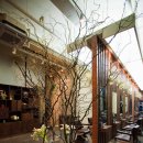 포레스타 이미지