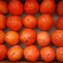 달빛민박 이미지