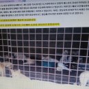 중원축산 이미지