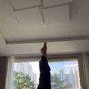 요가타타타