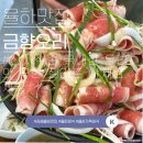 금향한정식 | [김해] 율하동 오리고기 찐맛집 '금향오리' 산더미 오리불고기 먹어봤어요