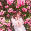 장미패션 이미지