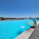 호호용담 이미지