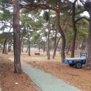 고성군게이트볼장 네이버블로그