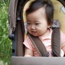 진리세탁 이미지