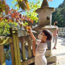 조나단목장 이미지