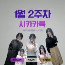 1월 시카카룩 : 2주차 겨울 출근룩 데일리룩 기록
