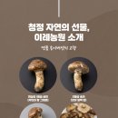 팔공산농산 이미지