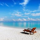 여름아, 부탁해~~ 이미지