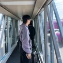 714 | 인천 오사카 피치항공 MM714편 A320 터미널 좌석 후기 지연은?