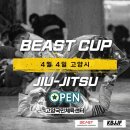 비스트 BJJ 이미지