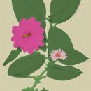 세광병원 이미지