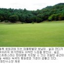 희망나무종합병원
