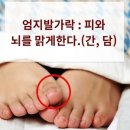 다섯발가락