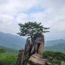 제215차 정기산행(9월6일)-청풍 작은동산 이미지