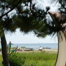 낙동강변로 이미지